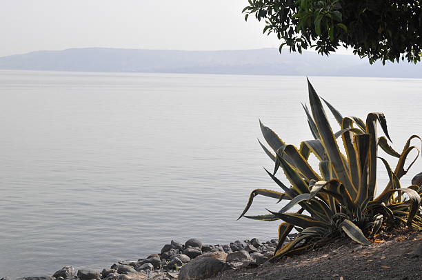 istock Tranquil Sea of Galilee at Capernaum 526147992