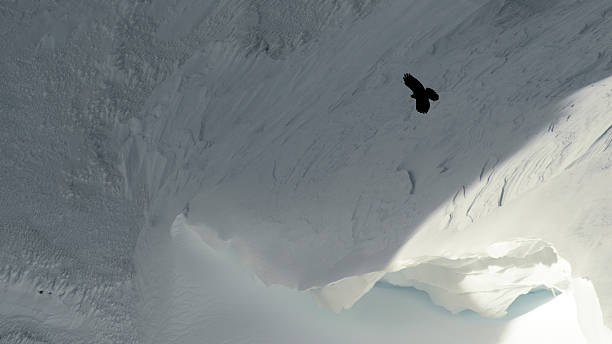 Marmolada Craw volare - foto stock