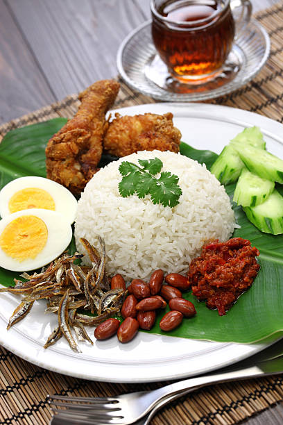 istock nasi lemak, malaysian cuisine 526149519