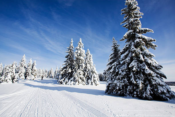 istock Ski runner on a beautiful sunny winter day....Rogla,Slovenia 526149925