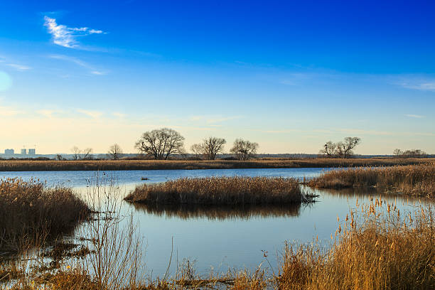 istock beautiful river Dnepr in Ukraine 526150499