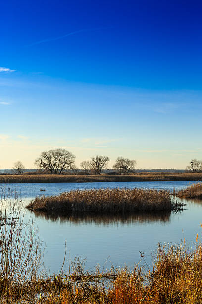 istock beautiful river Dnepr in Ukraine 526150501