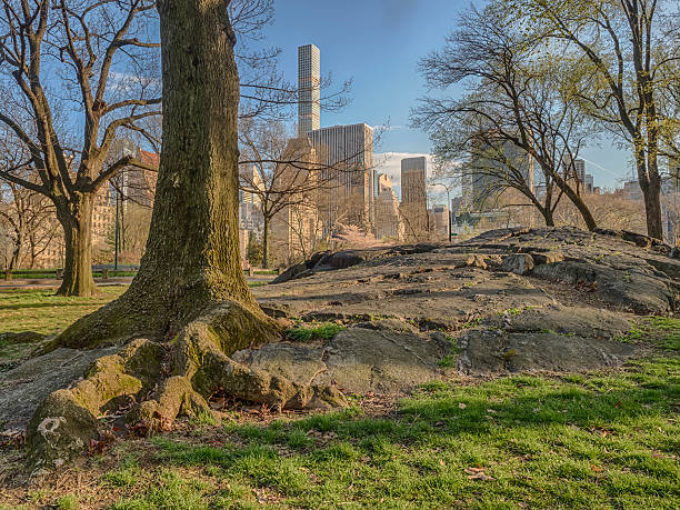 istock Central Park, New York City 526151218