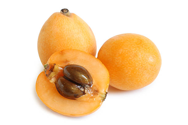 枇杷 medlar - plum plum tree tree fruit ストックフォトと画像
