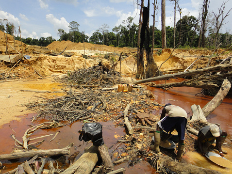Mining In Rainforests Gold Mining In The Rainforest Stock Photo - Download Image Now ...