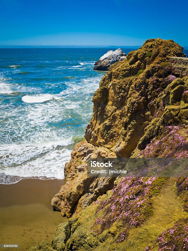 Rocks cliffs  against blue ocean Rock cliffs with pinks flowers against a blue ocean and clear blue sky. Ocean Beach San Francisco. Beach Stock Photo