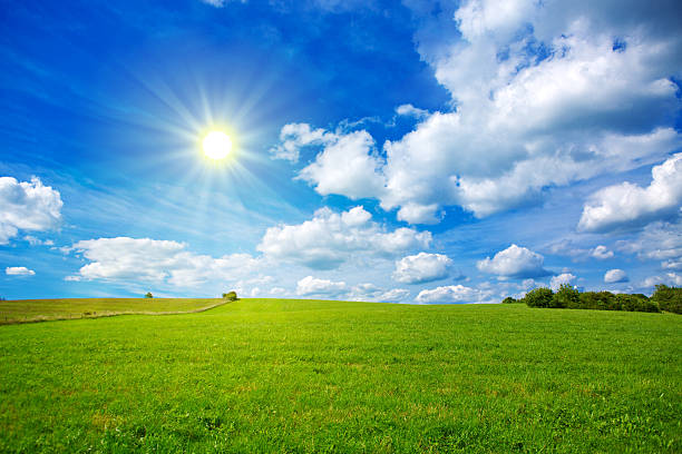 istock Sunset in German summer field. 526152150