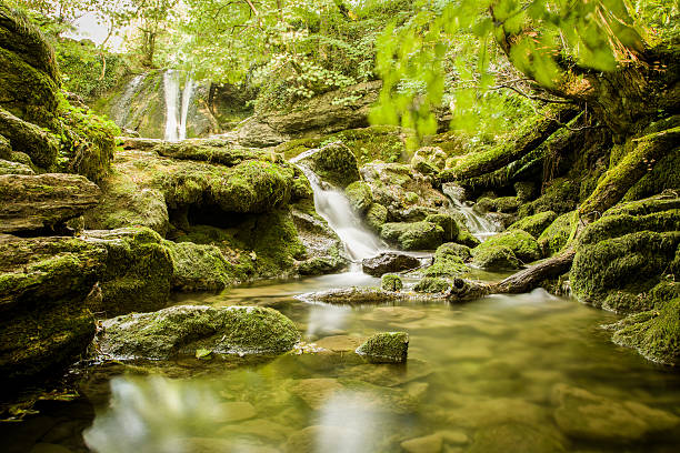 istock Janet's Foss Yorkshire Dales 526154963