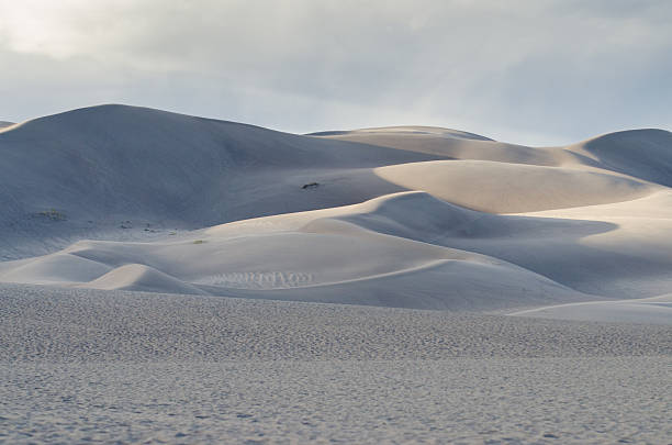 istock the great sand dunes, colorado 526175671