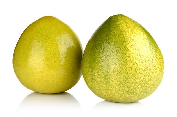 istock Two pomelos chinese grapefruits isolated on white 526176683