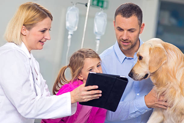 veterinario usando tableta digital - dog pets advice women fotografías e imágenes de stock