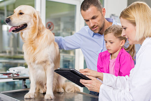 vétérinaire à l'aide de tablette numérique - dog pets advice women photos et images de collection