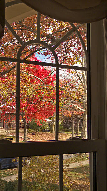 Window view of Autumn. stock photo