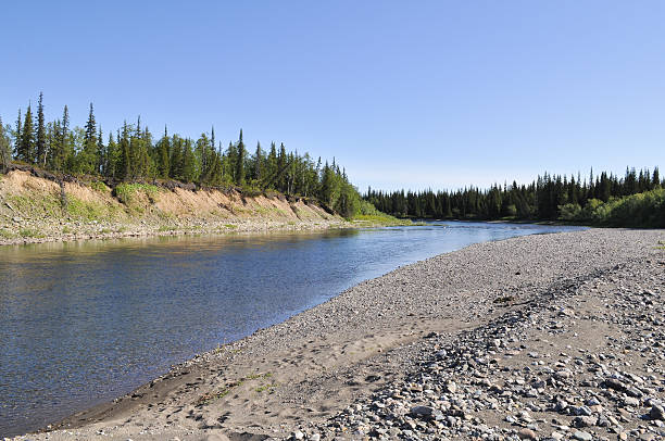 istock Pebbly shore of the river Kokpela. 526180215