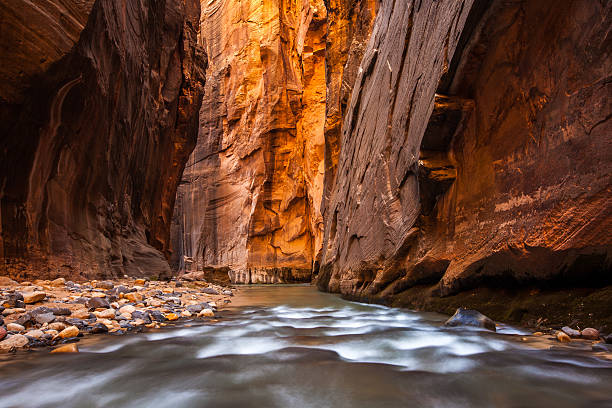 Glowing Sandstone wall, The Narrows, Zion national park, Utah stock photo