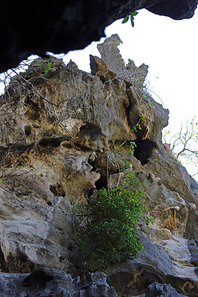 istock Indonesia: Mirror Rock Cave in Labuan Bajo 526181465