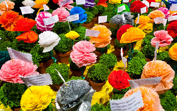 manjerico plantas - santos populares imagens e fotografias de stock