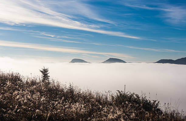 istock Fog covering the mountain forests 526195259