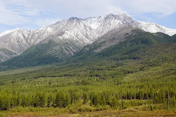 Mountain which has grown with wood on a Baikal-Amur Mainline (BAM), Siberia, Russia