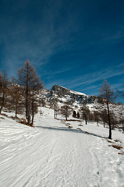 piste di sci - glisse foto e immagini stock