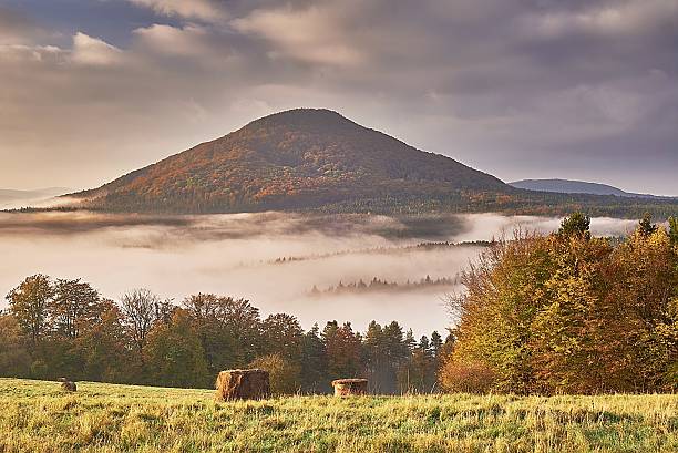 Hilly landscape with fog