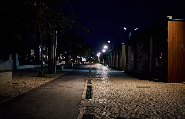 istock Street at night in the town with light and trees 526211023