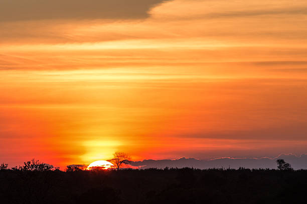 meraviglioso tramonto africano - kruger national park sunrise south africa africa foto e immagini stock