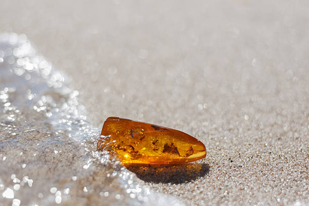 amber stone insect inclusion sand baltic seashore amber stone with insect inclusion on sand at baltic seashore kaliningrad stock pictures, royalty-free photos & images