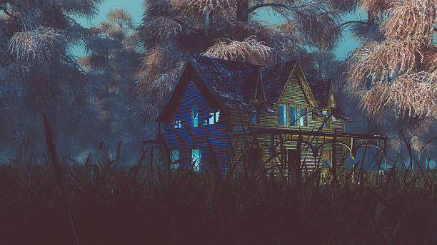 istock Abandoned house with lights on field in misty autumn forest. 526214585