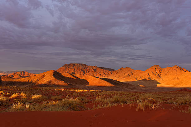 istock Landscapein the Namib desert 526215157