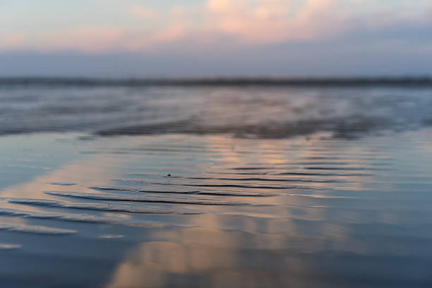 istock The beach at high tide at sunset 526215199