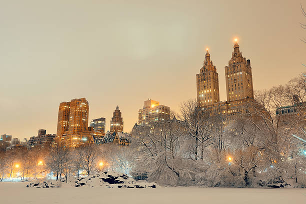 central park winter - new york city new york state skyline winter foto e immagini stock