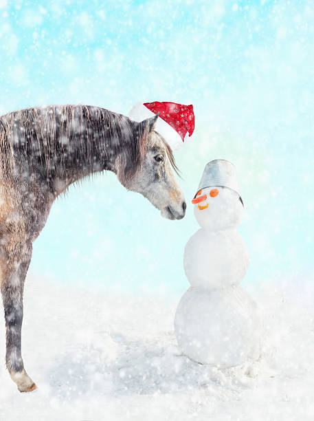 cheval en chapeau de père noël et bonhomme de neige avec un chapeau sur la tête - horse animal head laughing animal photos et images de collection