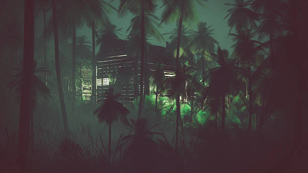 Abandoned old wooden cabin in remote palm tree jungle.