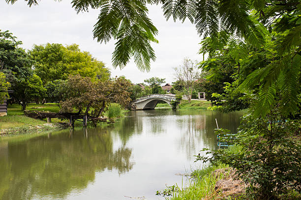 istock small bridge across the lake 526216105