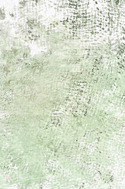 istock green watercolor textile print on white 526216667