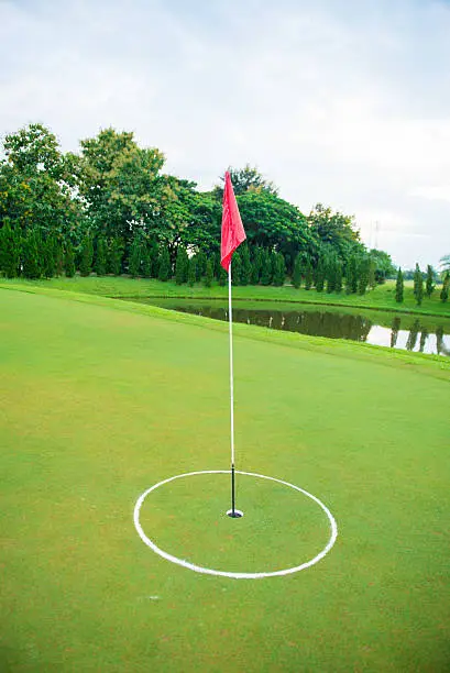 Flag and the golf field