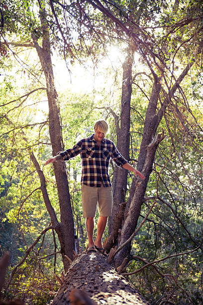 Man on Fallen Tree stock photo