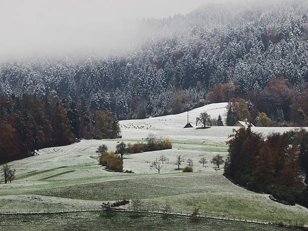 Outdoor photography from an autumnal landscape with snow.