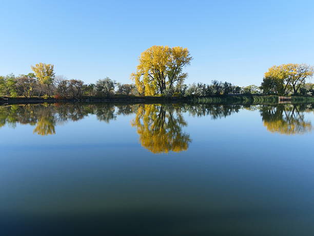 Lake Reflecting Autumn Trees stock photo