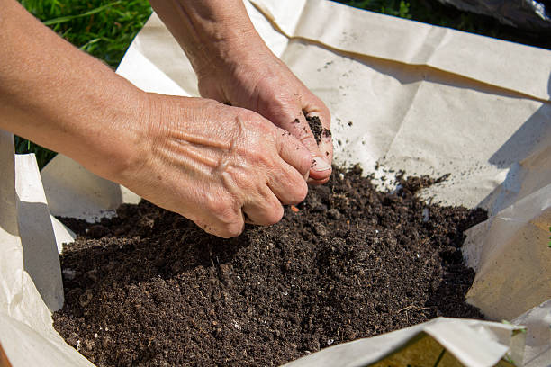 istock to the ground with his hands 526244973