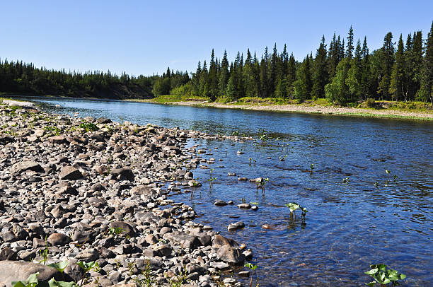 istock Pebbles on the banks of Ural taiga river. 526247625