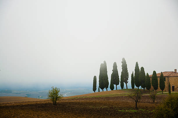 tuscany - siena province tuscany italy fog photos et images de collection