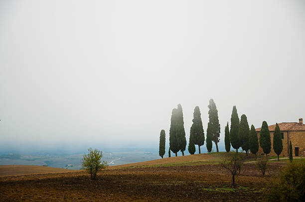 toskania - siena province tuscany italy fog zdjęcia i obrazy z banku zdjęć