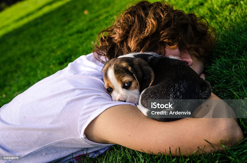 Giovane ragazza con Cucciolo di beagle con Occhi azzurri - Foto stock royalty-free di 20-24 anni