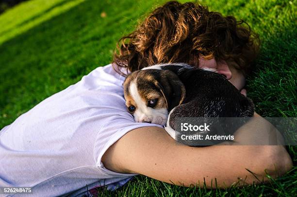 Giovane Ragazza Con Cucciolo Di Beagle Con Occhi Azzurri - Fotografie stock e altre immagini di 20-24 anni