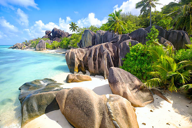 anse źródło d'argent beach - seychelles sea lagoon tropical climate zdjęcia i obrazy z banku zdjęć