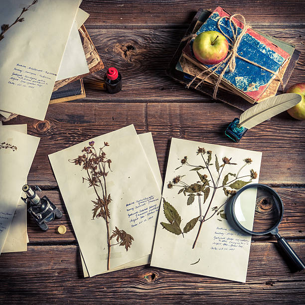 istock Study of plant at biology lesson 526249399
