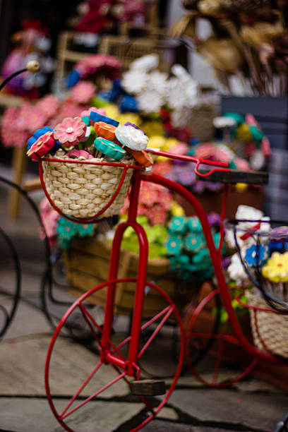 istock Bike Flores 526249639