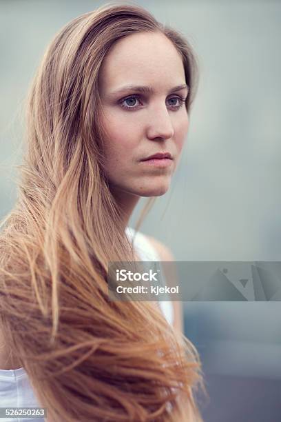 Scandinavian Woman Model With Long Brown Hair Stock Photo - Download Image Now - Adult, Adults Only, Beautiful People